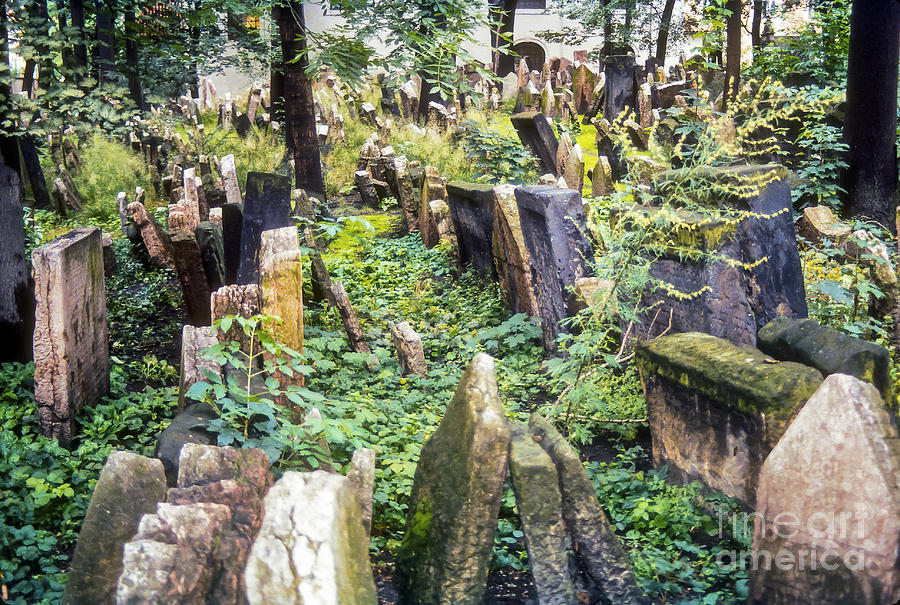 Old Jewish Cemetery Photograph by Bob Phillips