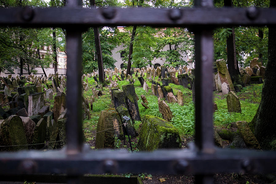 Old Jewish Cemetery I by Robert Davis Old Jewish Cemetery I by Robert Davis