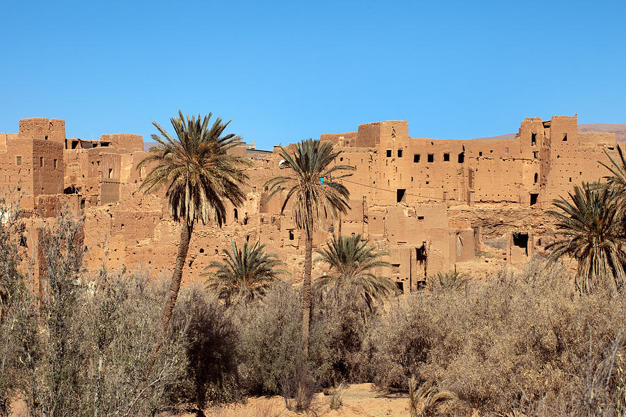 Old Kasbah and Palms Photograph by Aivar Mikko