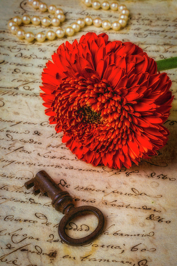 Old Key And Gerbera Daisy Photograph by Garry Gay