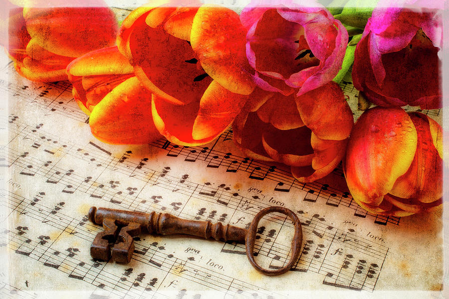 Old Key On Sheet Music Photograph by Garry Gay