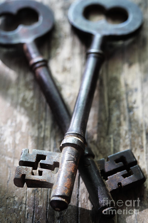 Old Keys Photograph by Neil Overy