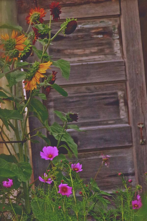 Old Kitchen Door And a Cottage Garden Photograph by Amanda Smith