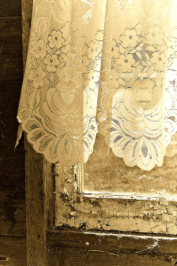 Old Lace Photograph by Linda McRae