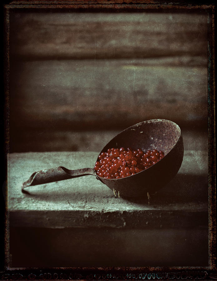 Old ladle with redcurrants Photograph by Anders Kustas