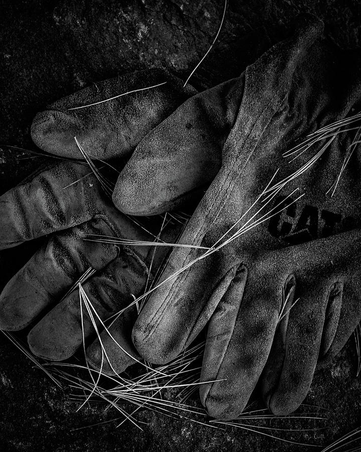 Old Leather Work Gloves Photograph by Bob Orsillo