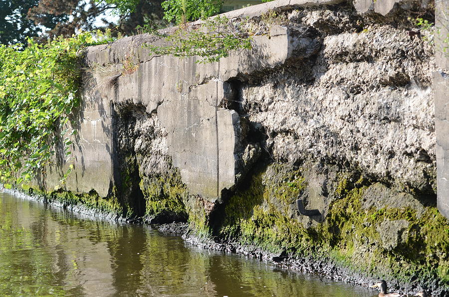 Old Lock and Dam Photograph by Tammy Mutka | Fine Art America