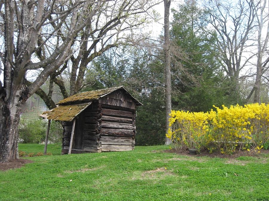 Old Log Cabin Photograph By Betsy Cullen