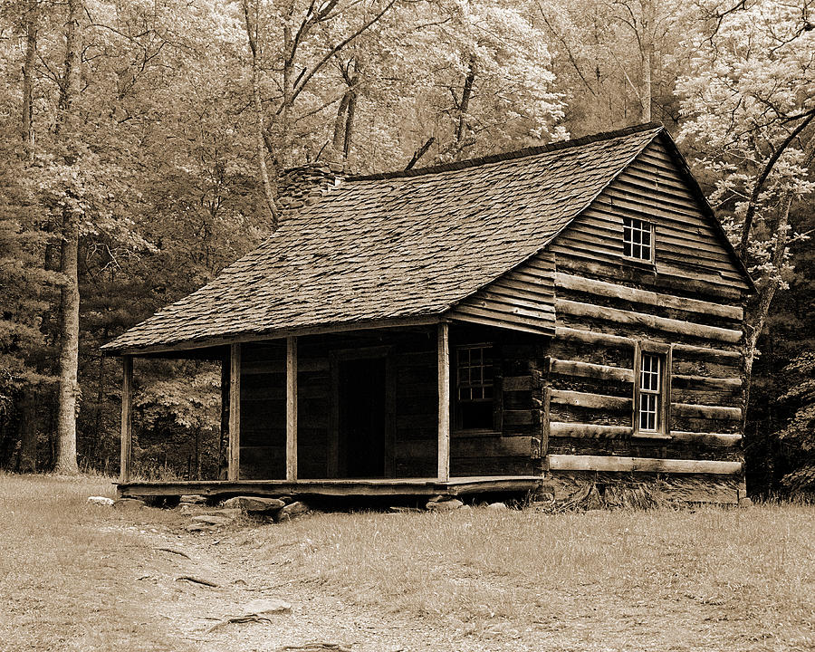 Old log cabin - bingerchick