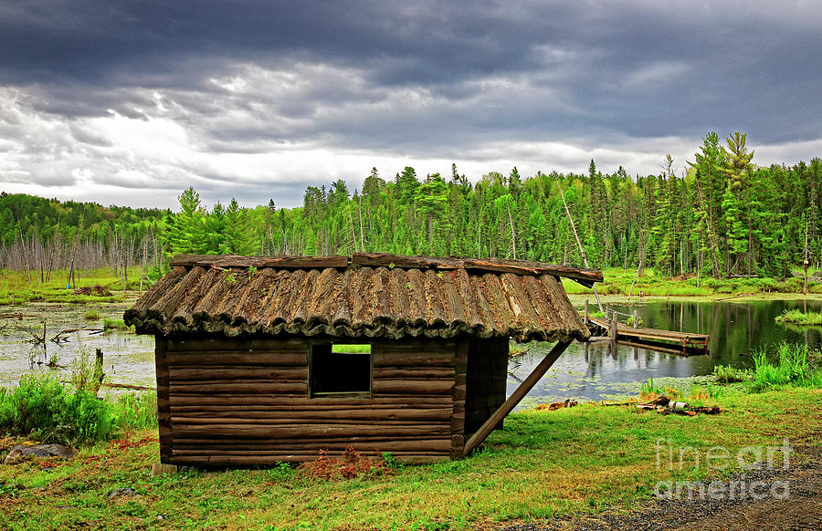 Old Log Cabin in Temagami Photograph by Charline Xia