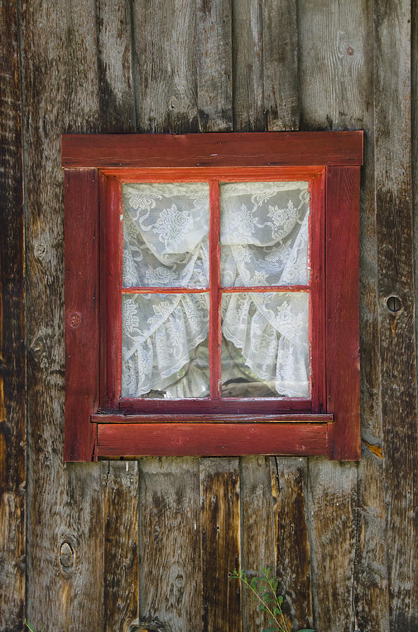 Old Log Cabin Window With Lace Curtains Photograph By Shelley Dennis