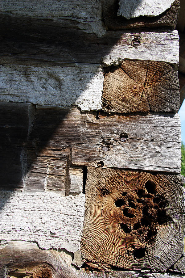 Old Log House Detail Photograph by Joanne Coyle