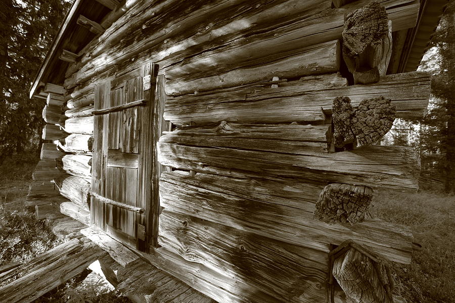 Old log house on a forest glade-sepia Photograph by Ulrich Kunst And Bettina Scheidulin