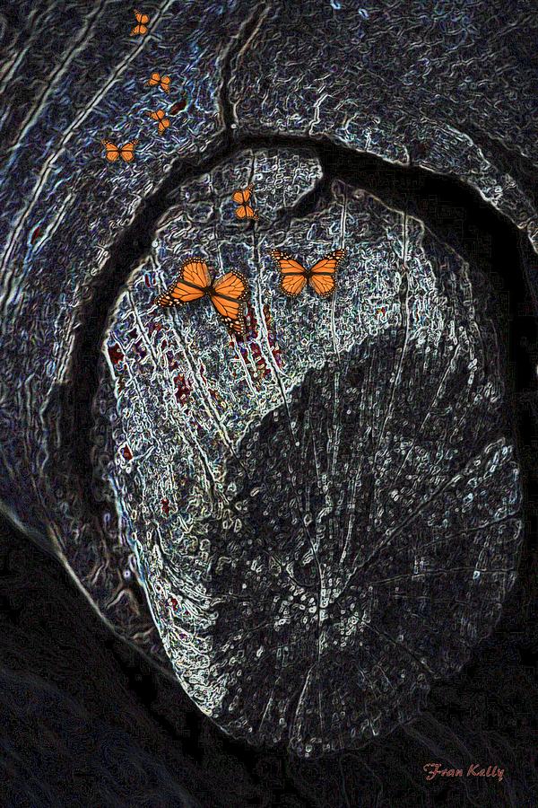 Collage Photograph - Old Log With Butterflies by Fran Kelly