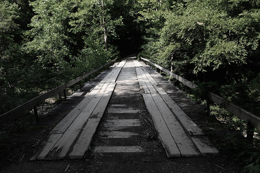 Old Logging Bridge1 Photograph by Stacie Siemsen