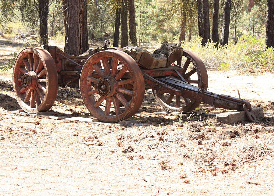 Oregon Photograph - Old Logging Wagon by Carol Groenen