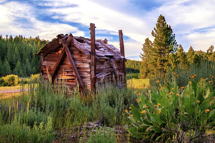 Sunset Photograph - Old Lumber Mill Cabin by James Eddy