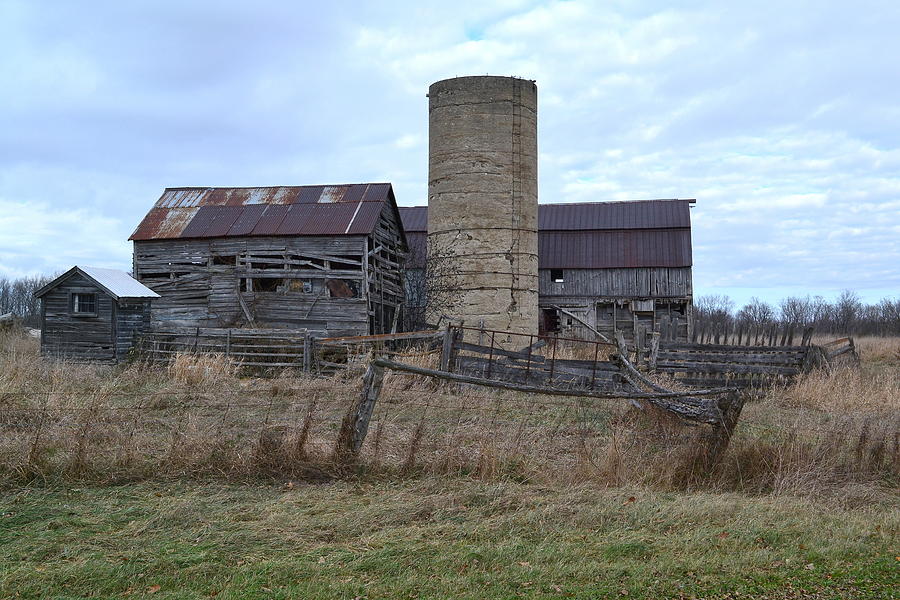 Old MacDonald Was a Farm Photograph by Richard Stanford