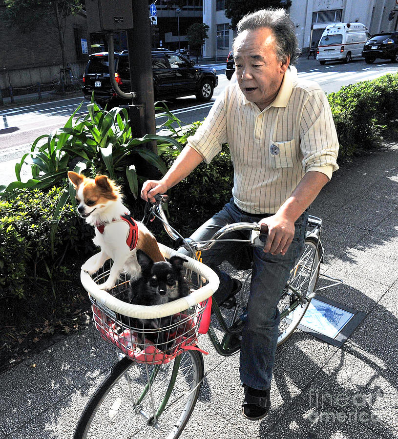 Old man bike rider. Photograph by W 
