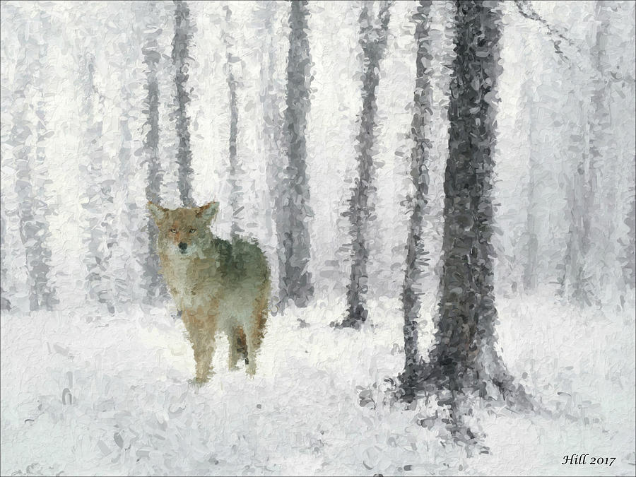 Native American Digital Art - Old Man Coyote by T D Hill Native American Digital Art - Old Man Coyote by T D Hill