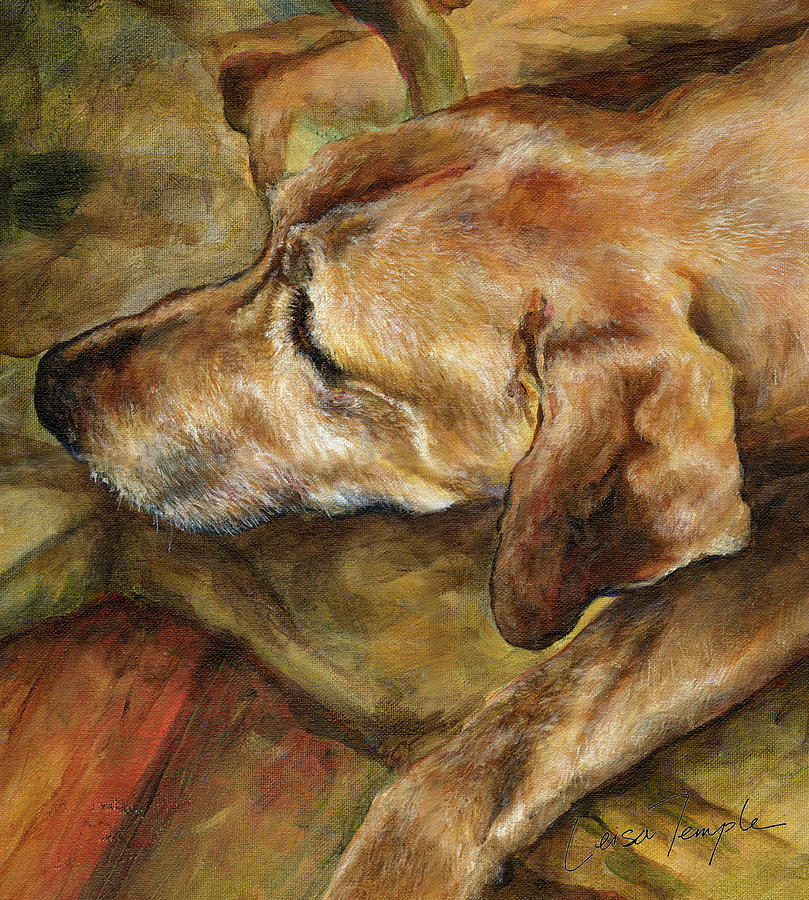 Dog Painting - Old Man by Leisa Temple