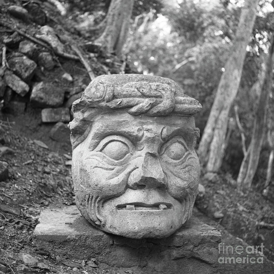Mayan Photograph - Old Man of Copan sculpture, also known as the Pauahtun head from by The Harrington Collection