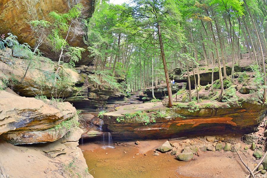 Old Mans Gorge And Waterfall Hocking Hills Ohio Photograph by Lisa Wooten