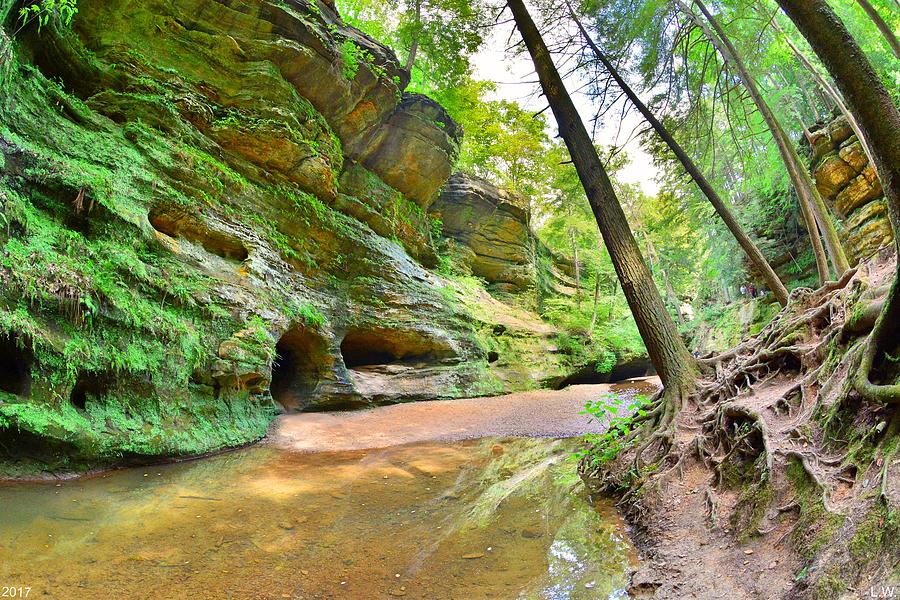 Old Mans Gorge Trail And Caves Hocking Hills Ohio Photograph by Lisa Wooten
