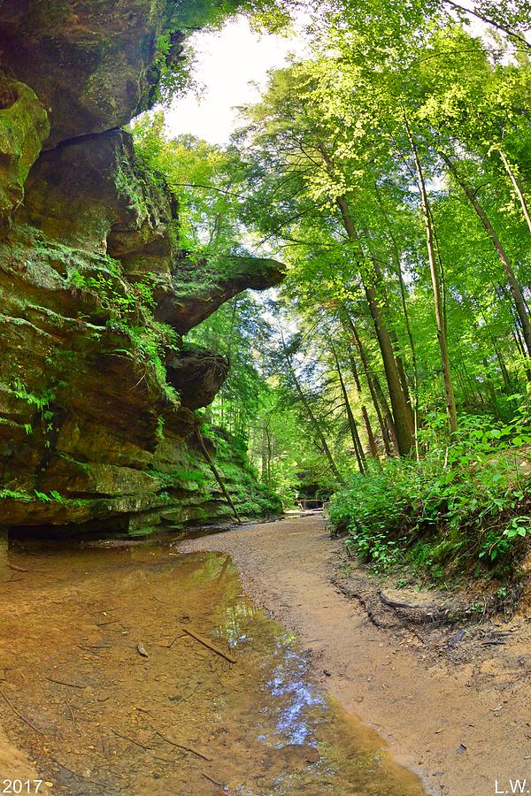 Old Mans Gorge Trail Hocking Hill Ohio Photograph by Lisa Wooten