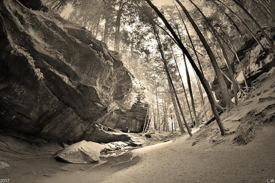 Old Mans Gorge Trail Hocking Hills Ohio 2 Black And White Photograph by Lisa Wooten