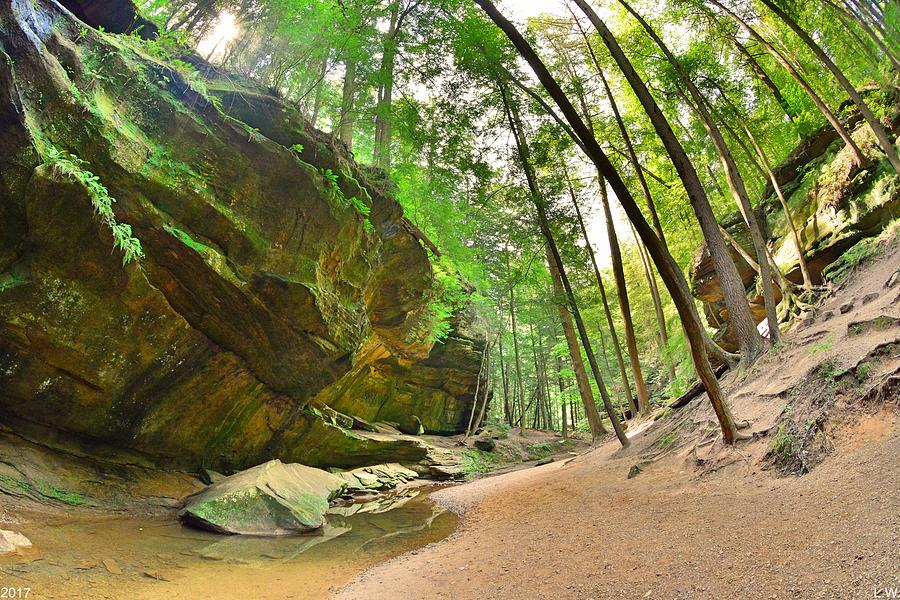 Old Mans Gorge Trail Hocking Hills Ohio 2  Photograph by Lisa Wooten