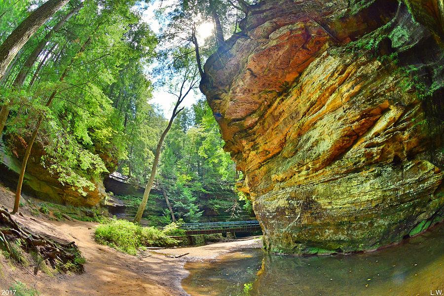 Tree Photograph - Old Mans Gorge Trail Hocking Hills Ohio by Lisa Wooten