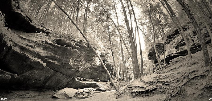 Old Mans Gorge Trail Panorama Black And White Photograph by Lisa Wooten