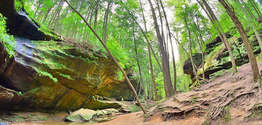 Old Mans Gorge Trail Panorama  Photograph by Lisa Wooten