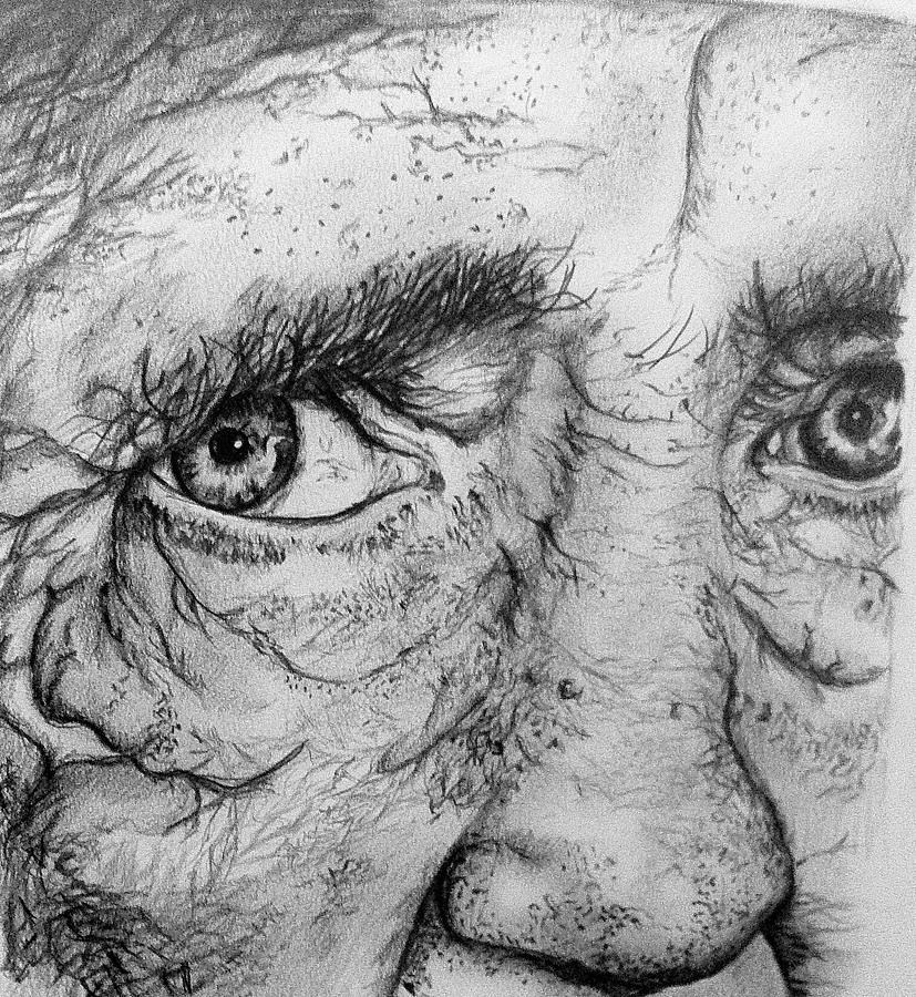 Black And White Drawing - Old mans story  by Anna Louise Middleton