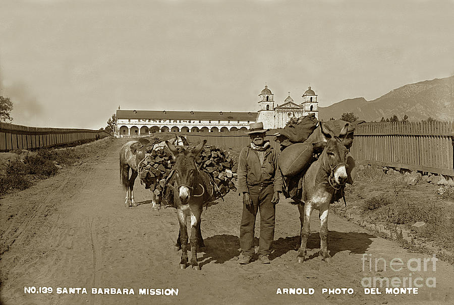 Old Photograph - Old Matias Reyes with his burros loaded with firewood  circa 1887 by Monterey County Historical Society