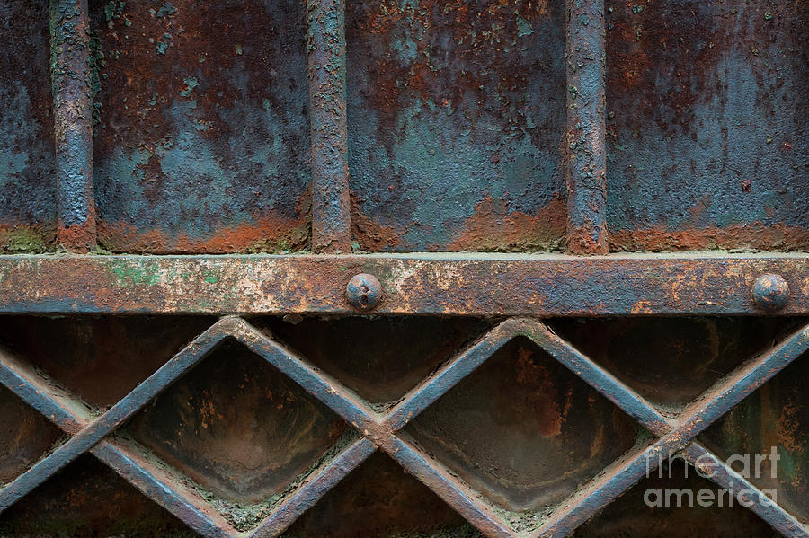 Old metal gate detail Photograph by Elena Elisseeva