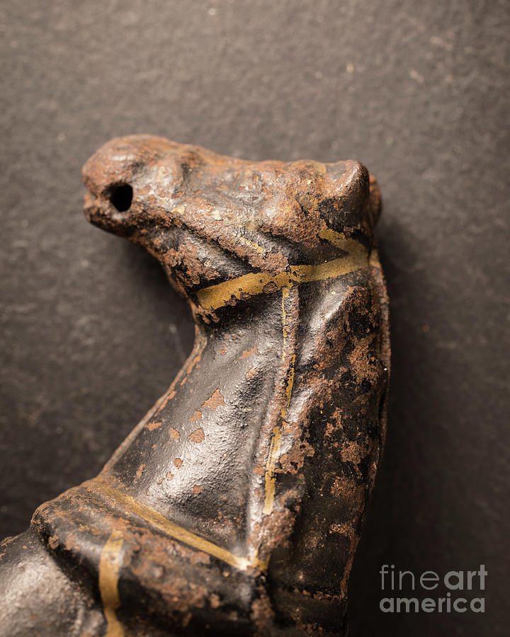Still Life Photograph - Old Metal Horse Toy by Edward Fielding