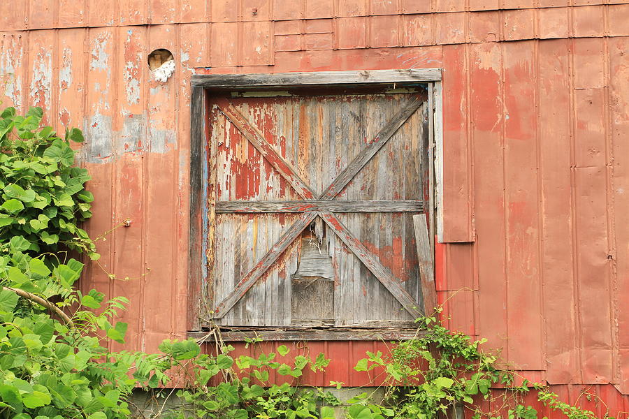 Old Mill Door Photograph by Karen Ruhl