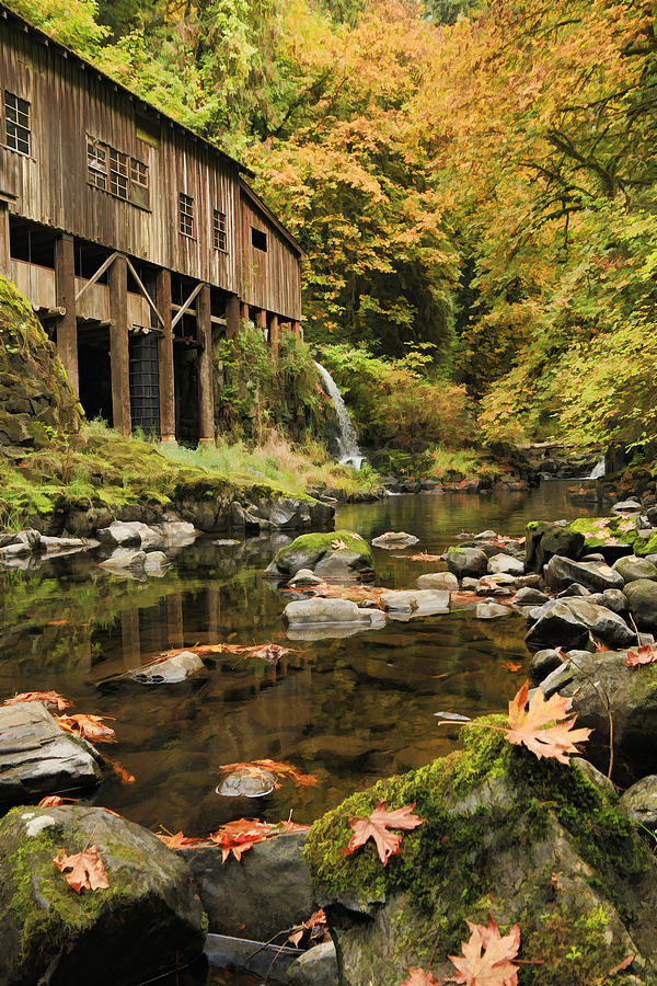 Old Mill in Fall Photograph by Steve McKinzie