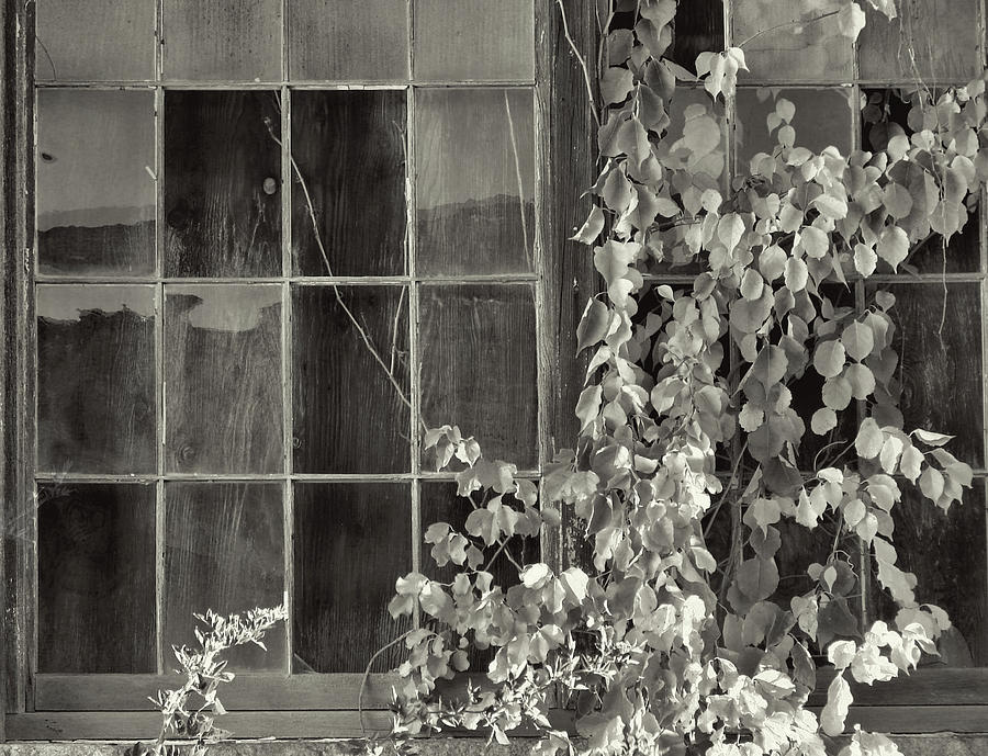 Old Mill Window Photograph by Chuck Purro - Fine Art America