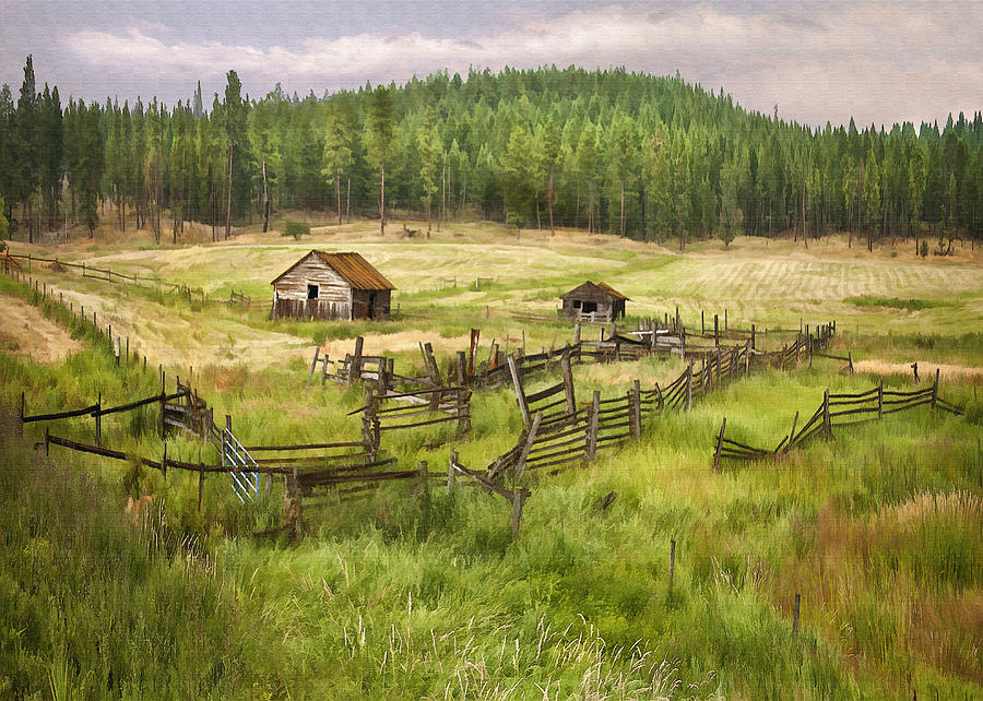 Old Montana Homestead Digital Art by Sharon Foster