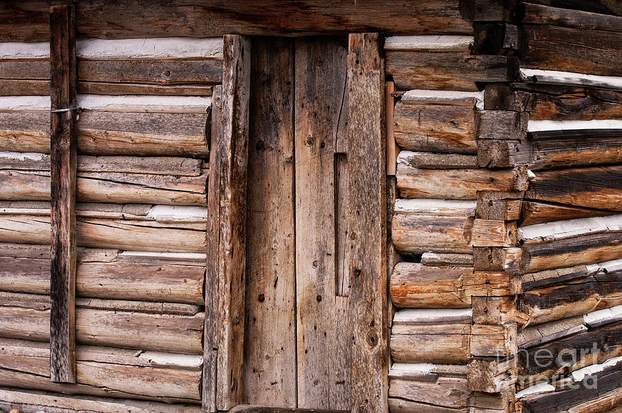 Old Mormon Barn Door One Photograph by Bob Phillips