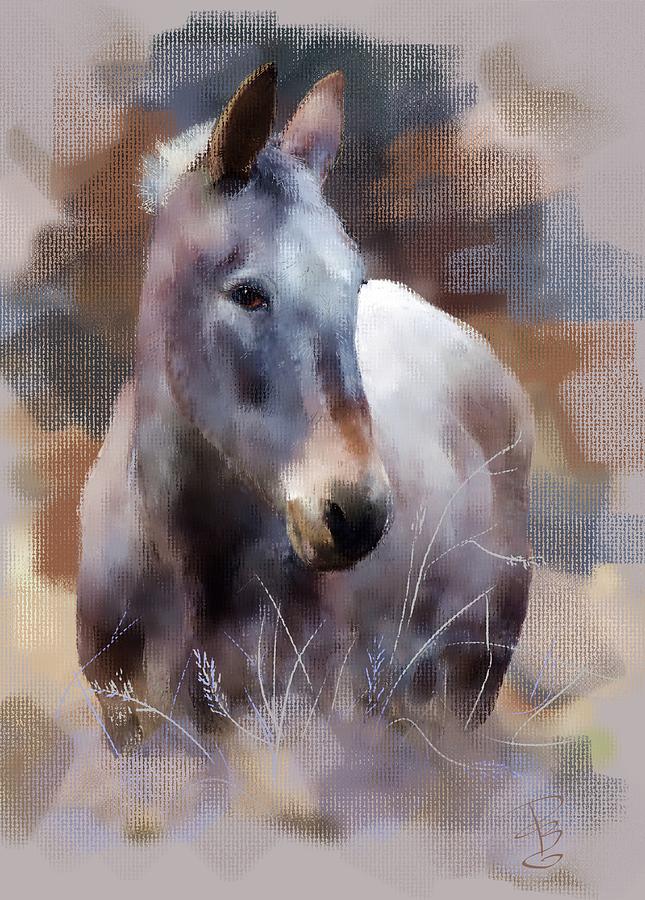 Old mule Digital Art by Debra Baldwin