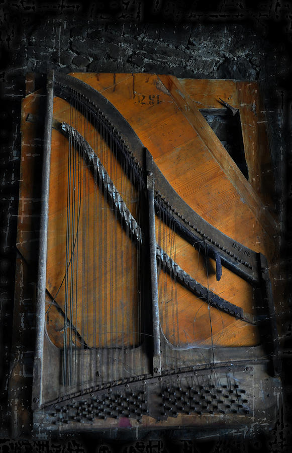 Music Photograph - Old musical instrument by Damijana Cermelj