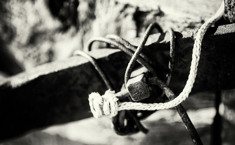 Old Wire and Rope Knot Photograph by John Williams