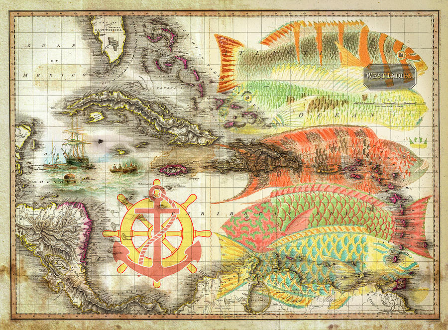 Old Nautical Reef Map Photograph by Debra and Dave Vanderlaan