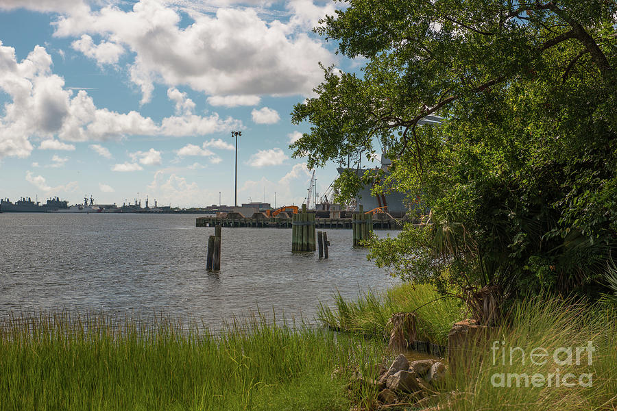 Tree Photograph - Old Navy Base on the Cooper River in North Charleston by Dale Powell