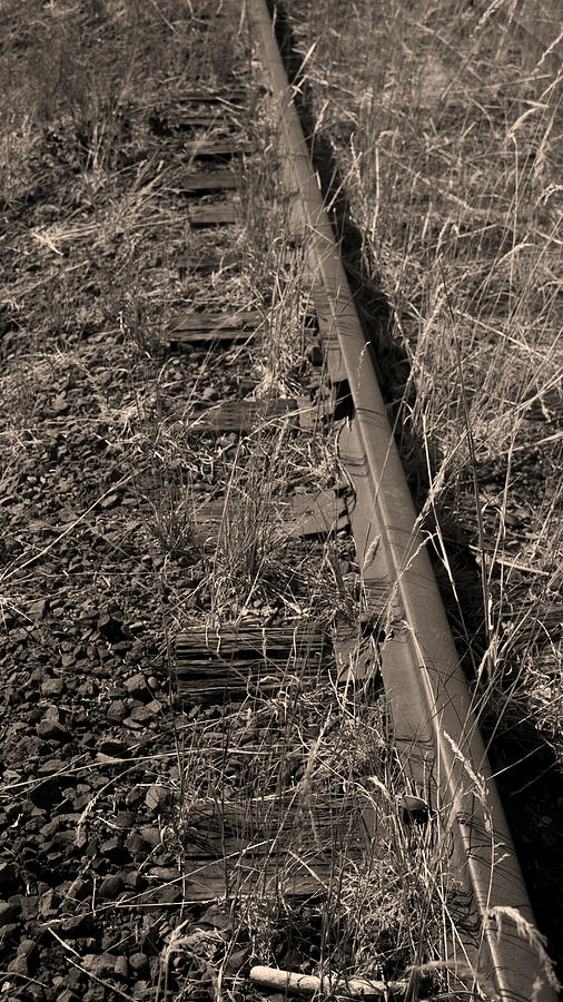 Old Neglected Track Photograph