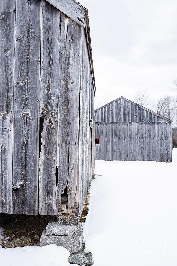Old New England Barns Winter Photograph by Edward Fielding